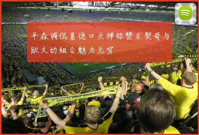 平森调侃基德口头禅称赞东契奇与欧文的组合魅力无穷