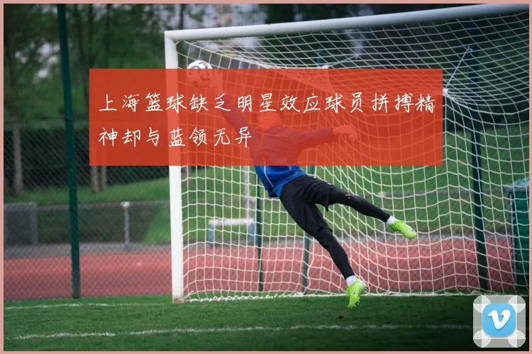 上海篮球缺乏明星效应球员拼搏精神却与蓝领无异